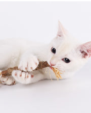 Wooden Polygonum Molar Stick Cat Toy Tooth Cleaning Kitten Bite-resistant Catnip Teasing Snacks